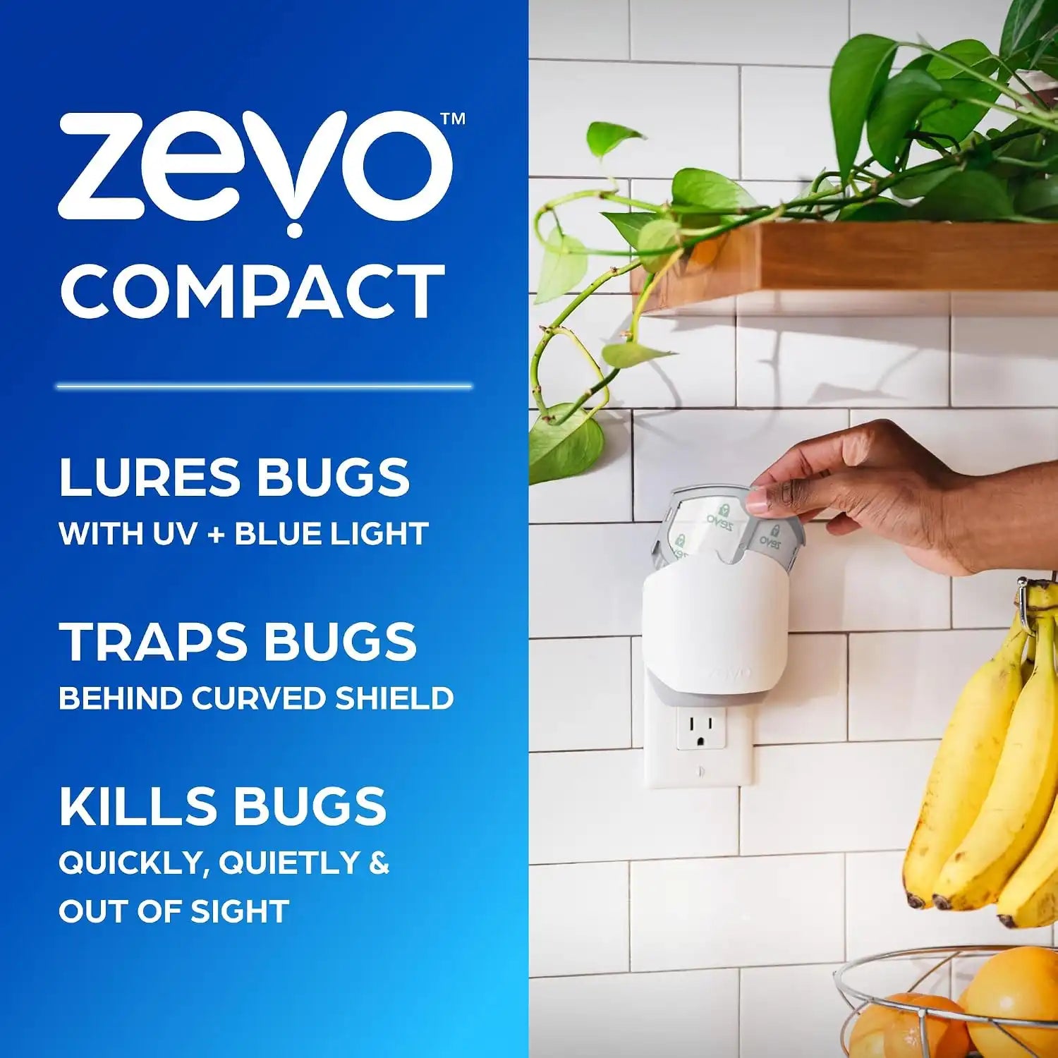 zevoflycatcher.com
