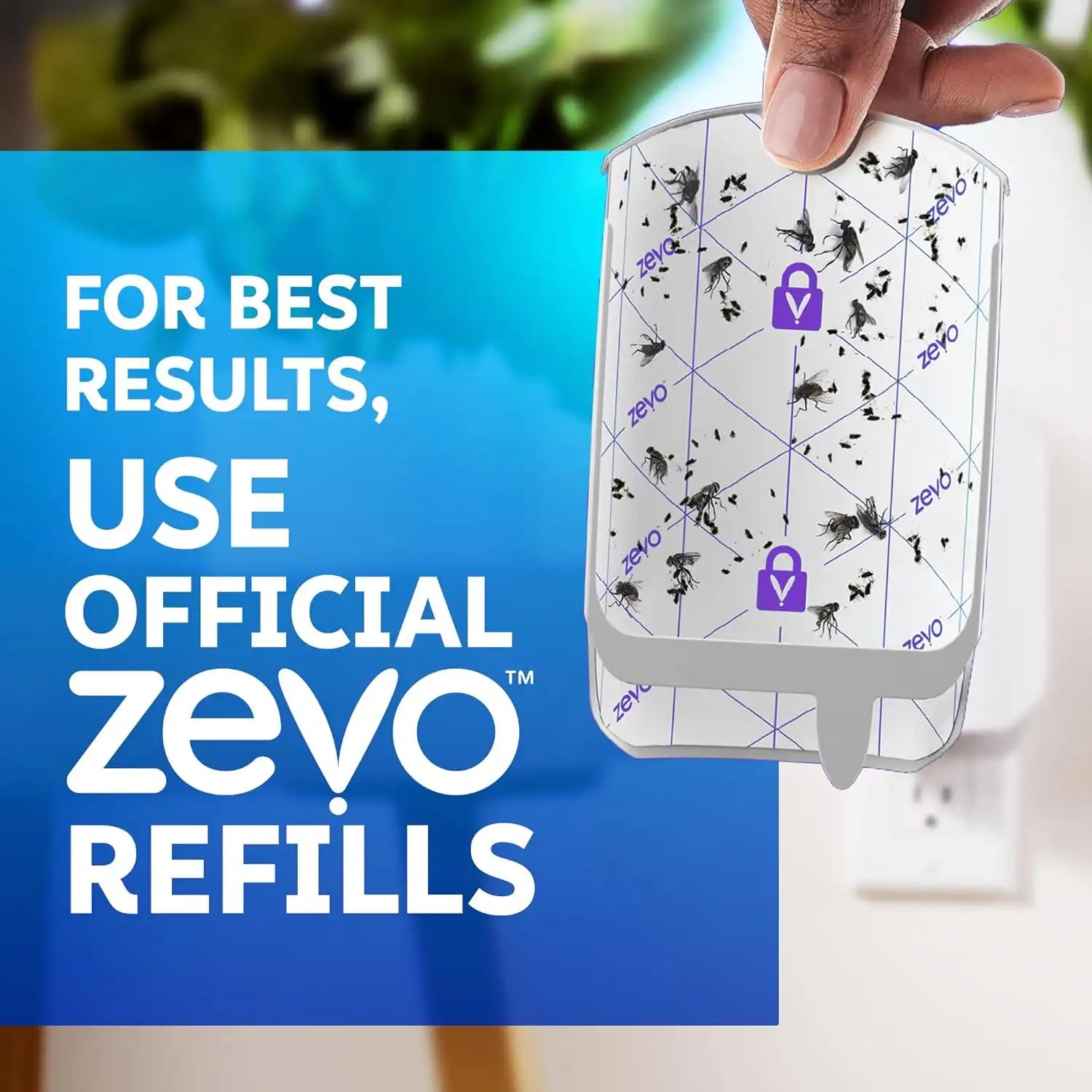 zevoflycatcher.com